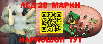 Альфа ПВП Пугачёв